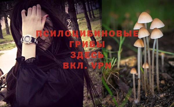 марки lsd Беломорск