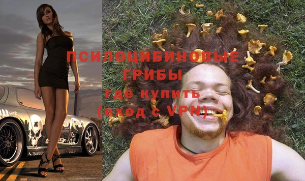 mdma Белокуриха
